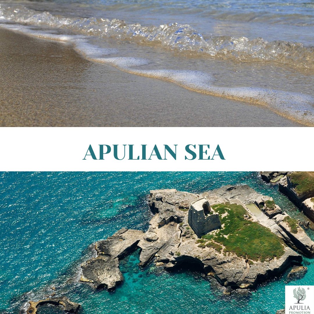 ApuliaPromotion's tweet image. #beachtourism

It may look like a pool but we assure you that our sea is really so beautiful
Book now your summer holidays🏝 
  apuliapromotion.com
#seatourism #mediterraneansea #puglia #weareinpuglia #seasandsun #vacationmood #seaside!