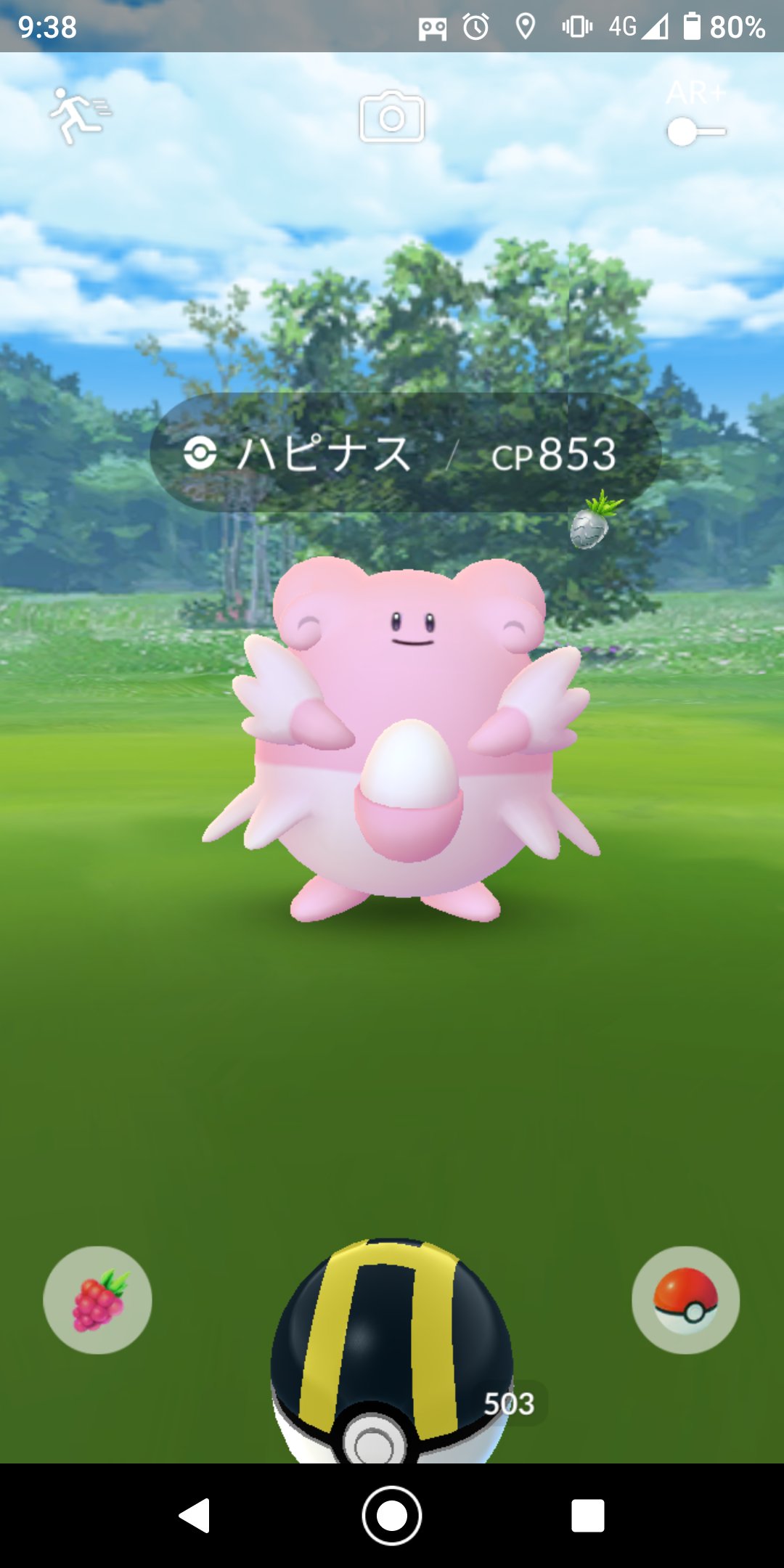 تويتر ぽん吉 على تويتر 野生のハピナス発見 テンションあがるぅ ポケモンgo ハピナス T Co Yhztnczwj8