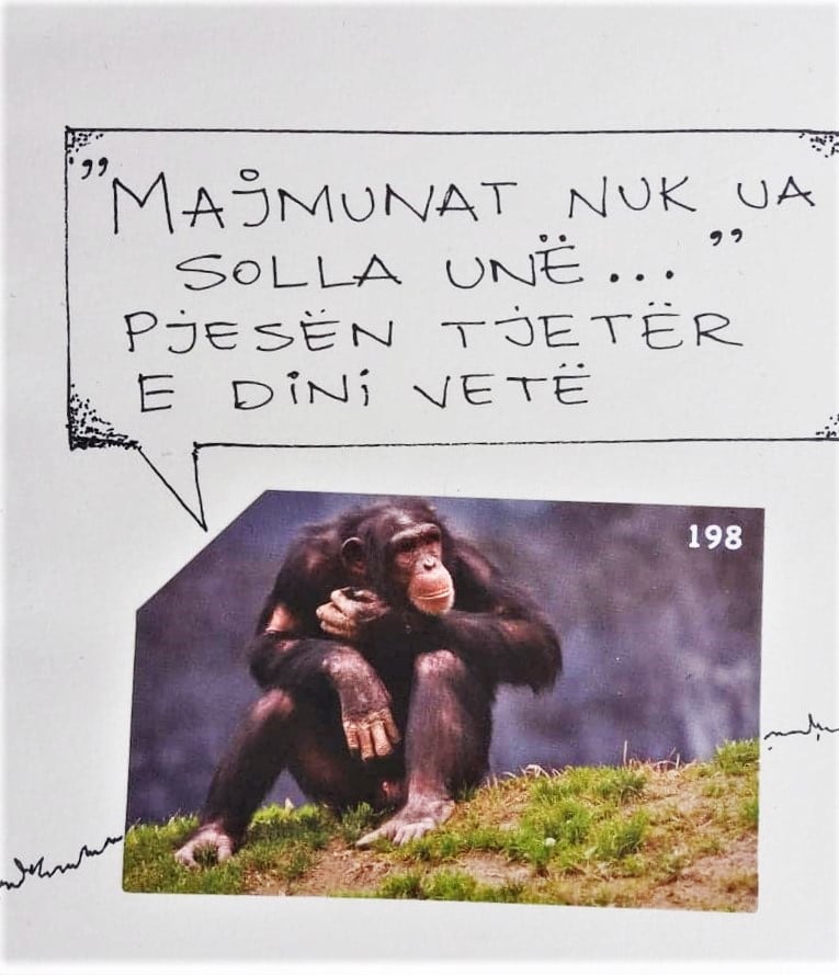 Arif Muharremi (@arifmuharremi) on Twitter photo 