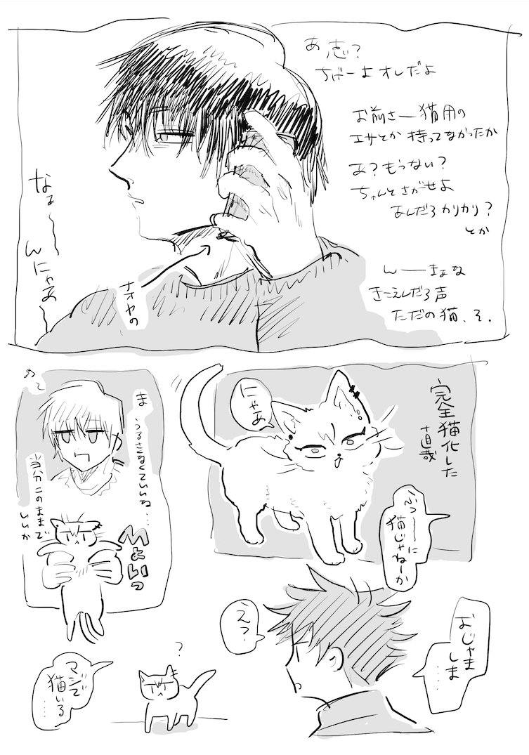 トージと猫ナオヤ、時々めぐみ(雑) 