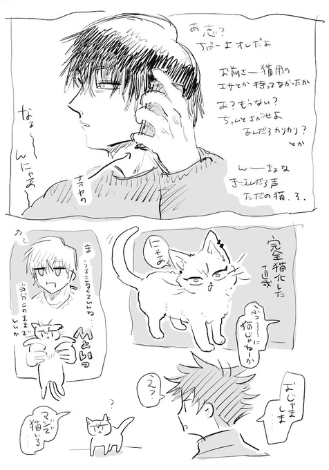 トージと猫ナオヤ、時々めぐみ(雑) 