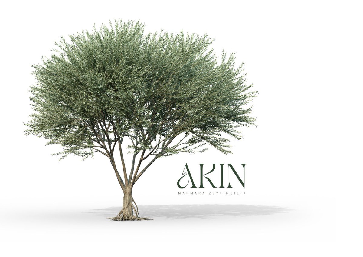 bocwadv's tweet photo. AKIN | Logo, Kurumsal Kimlik, Ambalaj…
————————————————————
0212 283 24 56 | https://t.co/9WnP1m0R8V
———————————————————
 #logo #logos #corporateidentity #kurumsalkimlik #reklamkampanyasi #basinilani #katalog #brosur #poster #ambalaj #menu #website #logotasarım #logotasarımı https://t.co/D6Y3PKXnMa