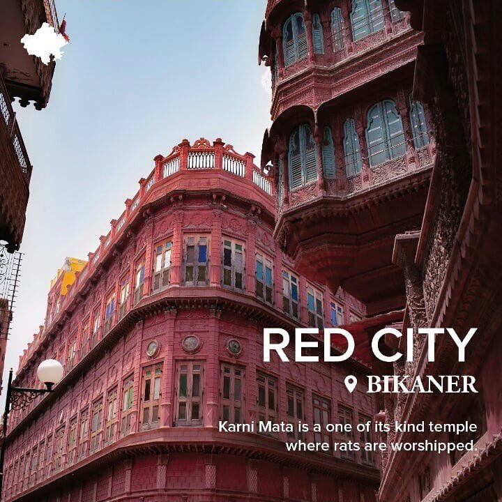 CraftMaestros's tweet photo. The state of Rajasthan is nothing short of an embodiment of the rainbow in all its glory. Be prepared to be mesmerized by the warm hues of this state as you hop on the virtual tour bus with us.
.
.
#rajasthan #tourisminindia #indiantourism #travel
#rajasthantourism #jaipur #india https://t.co/bLU7ttbNwv