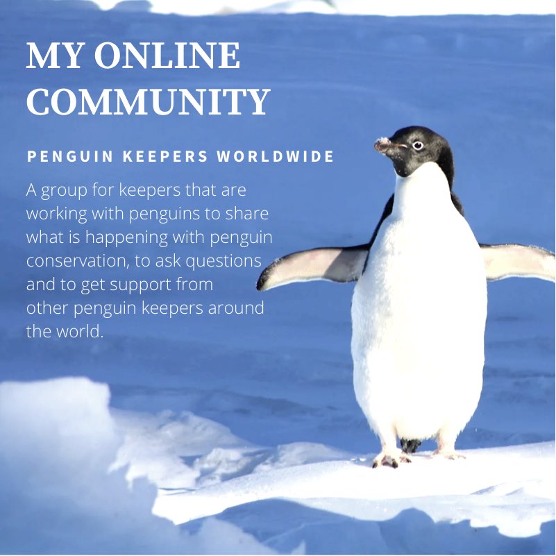 chloeheaver_'s tweet photo. My online community ❤️ Who else loves penguins as much as I do?! #AML101 https://t.co/lhWlpdRL5P