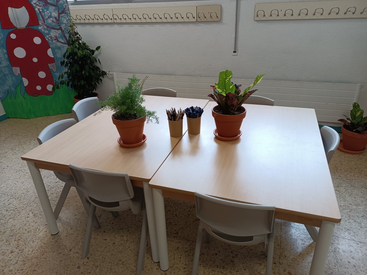 Educambient_'s tweet photo. La setmana passada vam estar a l'escola Las Seguidillas a @AjuntamentBadia plantant amb els infants plantes per naturalitzar i enverdir l'escola per dintre!
#educambient #educacioambientalvivencial #projecte #plantes #interior #naturalitzem #Escola #badiadelvalles #escolaverda https://t.co/8pfjR0JKy2