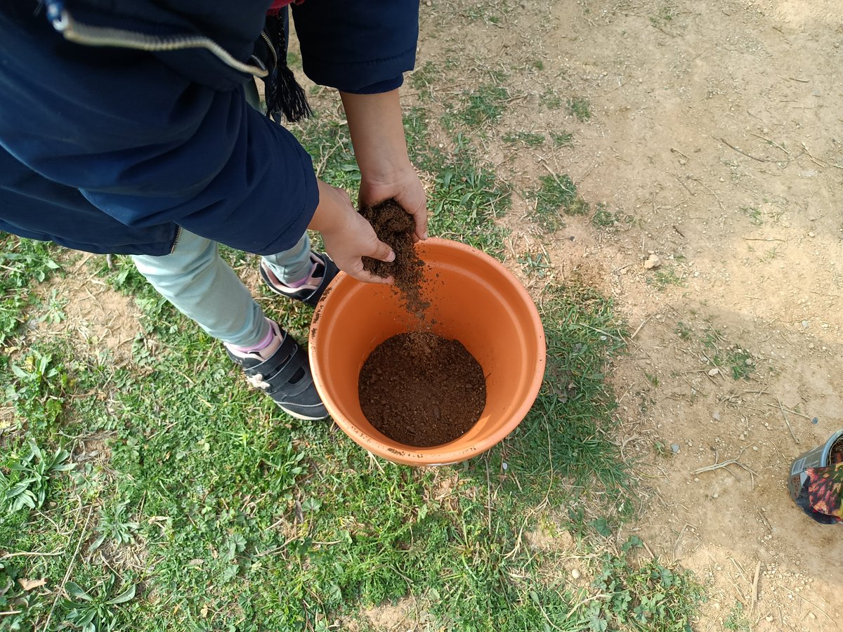 Educambient_'s tweet photo. La setmana passada vam estar a l'escola Las Seguidillas a @AjuntamentBadia plantant amb els infants plantes per naturalitzar i enverdir l'escola per dintre!
#educambient #educacioambientalvivencial #projecte #plantes #interior #naturalitzem #Escola #badiadelvalles #escolaverda https://t.co/8pfjR0JKy2