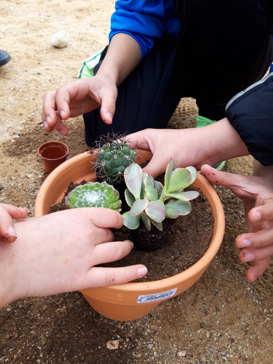 Educambient_'s tweet photo. La setmana passada vam estar a l'escola Las Seguidillas a @AjuntamentBadia plantant amb els infants plantes per naturalitzar i enverdir l'escola per dintre!
#educambient #educacioambientalvivencial #projecte #plantes #interior #naturalitzem #Escola #badiadelvalles #escolaverda https://t.co/8pfjR0JKy2