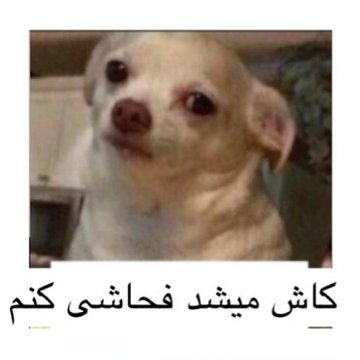 anibom_ap's tweet photo. @sepidehddd @hsynnwry1 پس فردا همینا از حقوق برابر حرف میزنن https://t.co/Y71anQgnug