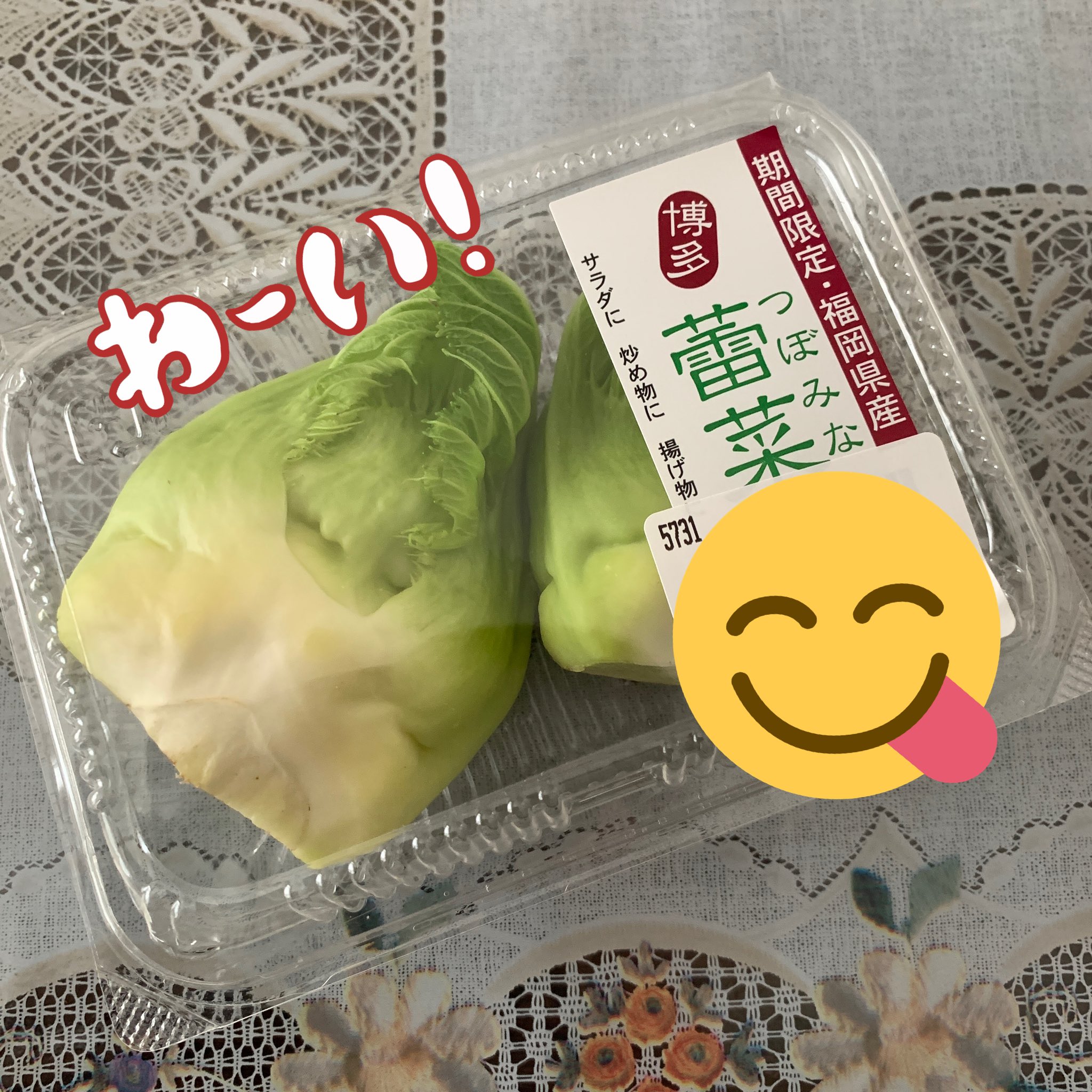 تويتر 蕾菜 البحث في تويتر