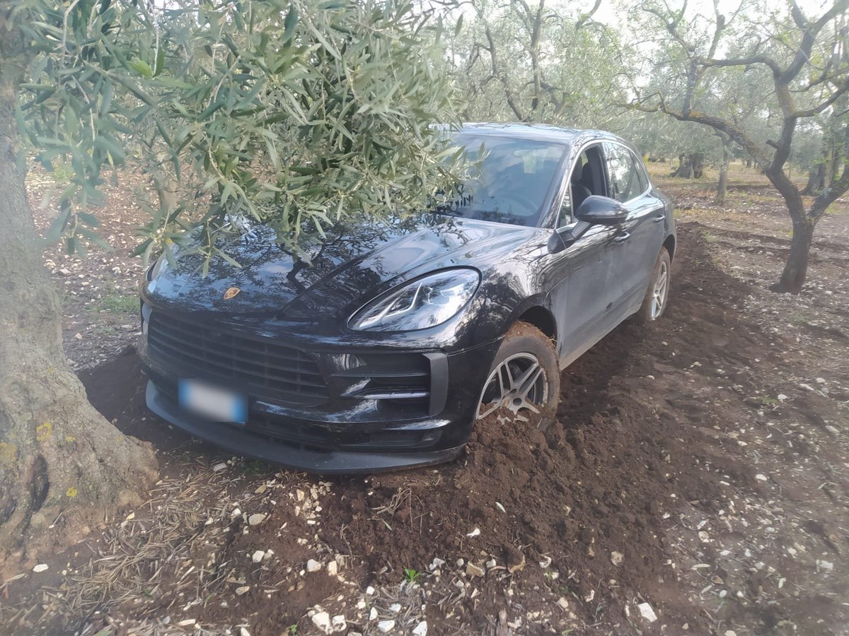 Vodafone_Auto's tweet photo. Thieves hid this stolen #PorscheMacan in a remote olive grove near Bari, Italy. 🌳 But don't worry, our security team was able to locate it in no time! 🇮🇹 #VFindYourVehicle https://t.co/JYDVnMKSLd