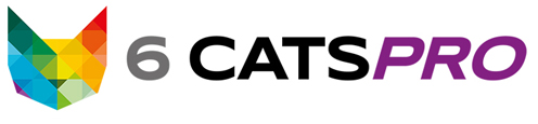6catsint's tweet photo. Have you heard about our consulting company, 6CATSPRO?
Learn more about how they can support recruiters here
https://t.co/lPpznT4G6l
#6CATSPRO https://t.co/hGAViY5y9L