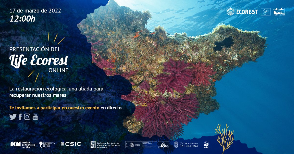 federaciogirona's tweet image. Demà, 17 de març, es podrà seguir en directe la presentació del projecte #LIFEECOREST a les 12 h al perfil de @FBiodiversidad 👇🏼👇🏼