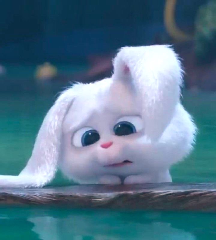 36Lalisa's tweet photo. เศร้าเนอะ🐰🥺 https://t.co/m5jPGOxX7v