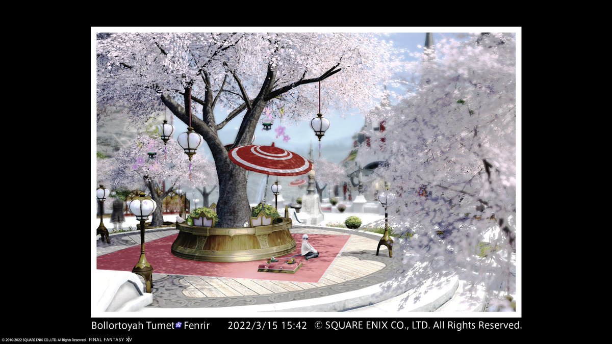 プリンセスデーで街がお花でいっぱいになってさいこう 