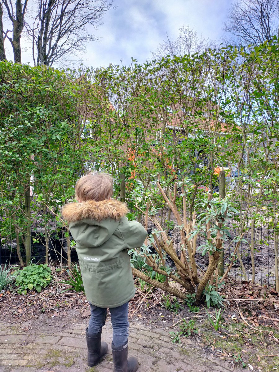 evertjankj's tweet photo. Bijzonder fijn: m'n zoon mag niet naar de opvang, maar @GemeenteHsum zorgt voor zijn vermaak. Heb er geen kind aan π #nieuweleidingen #graafmachine https://t.co/kRE1pUagNk