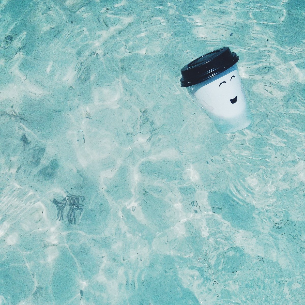 _moodcup's tweet photo. @WhaleShark_Pro Just keep swimming! :) https://t.co/xkC4QxxzHE