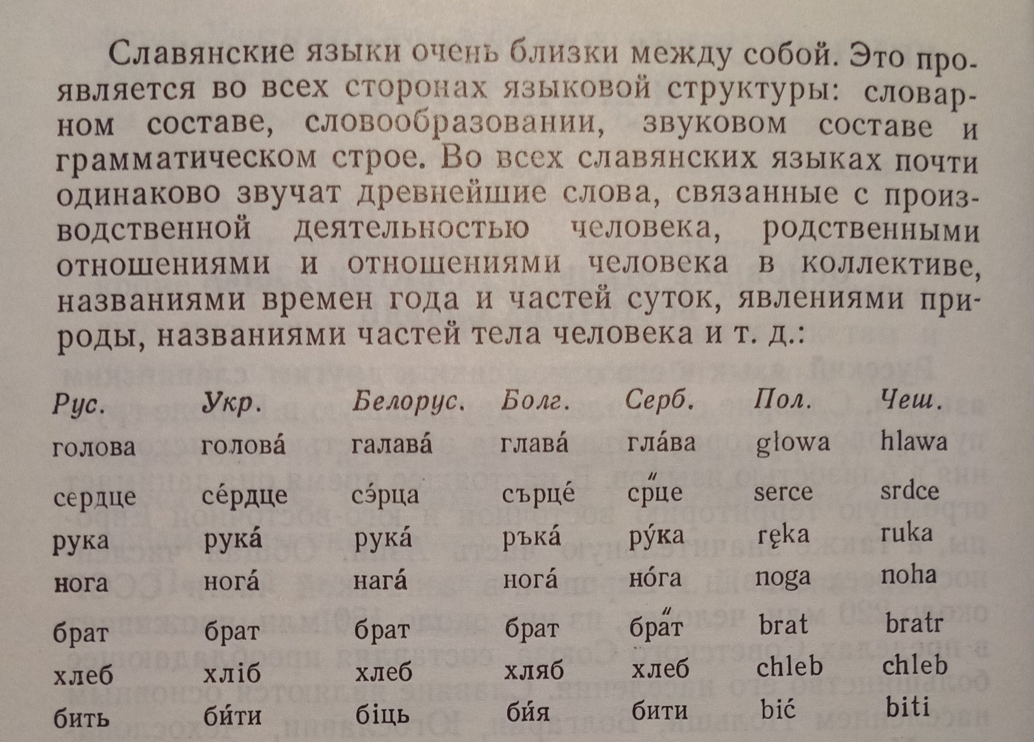 Сходство украинского и польского. Старославянский язык родство. Похожие слова славянских языков. Различия славянских языков. Украинские слова.