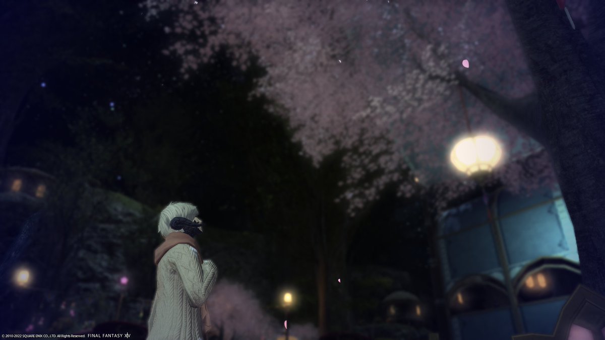 プリンセスデーで街がお花でいっぱいになってさいこう 