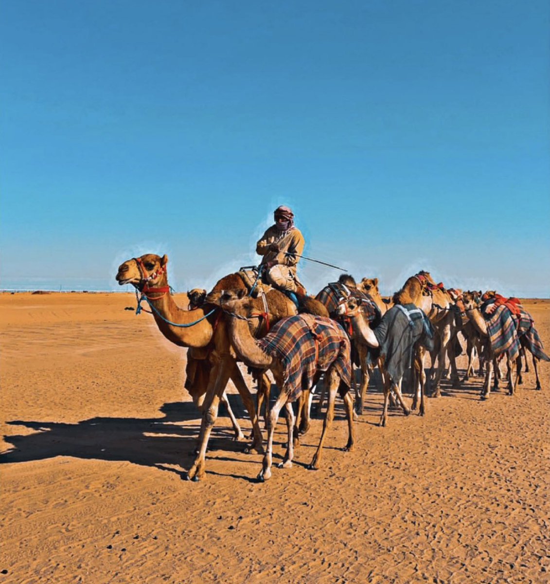 لا تكون كل الأيام جيده ،
 ولكن هناك شيء جيد في كُل يوم