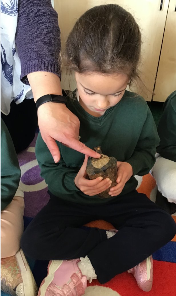 TrafalgarInfant's tweet photo. Year 1 enjoyed their visit from Horsham Museum last week, they had great fun being palaeontologists. Thank you to everyone for your voluntary donations towards the cost of this valuable experience. https://t.co/lpyTuA5jA0