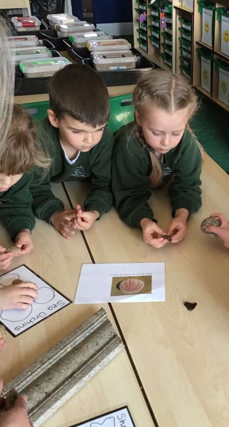 TrafalgarInfant's tweet photo. Year 1 enjoyed their visit from Horsham Museum last week, they had great fun being palaeontologists. Thank you to everyone for your voluntary donations towards the cost of this valuable experience. https://t.co/lpyTuA5jA0