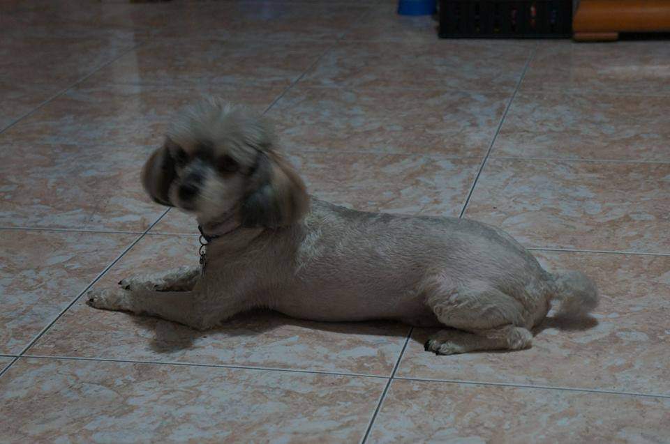 Helena La Brujita Dulce🇻🇪🇪🇸 tweet media