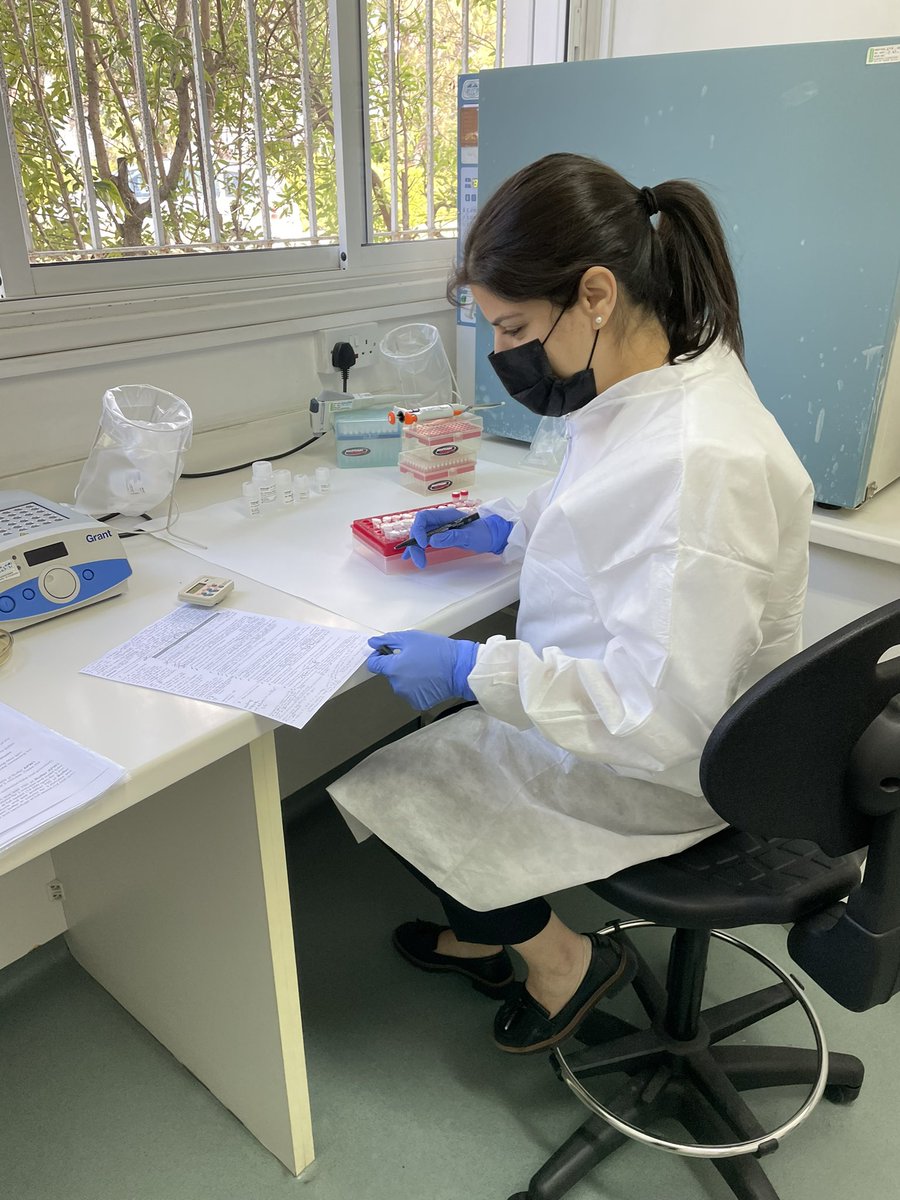 <a href="/DaphneMavrides/">Daphne Mavrides</a> is currently at the Cyprus Veterinary Services extracting DNA from stool samples from young #calves in order to investigate the effect of #Cryptosporidium and other pathogens 🦠 in their gut #microbiome! @UNIC_med