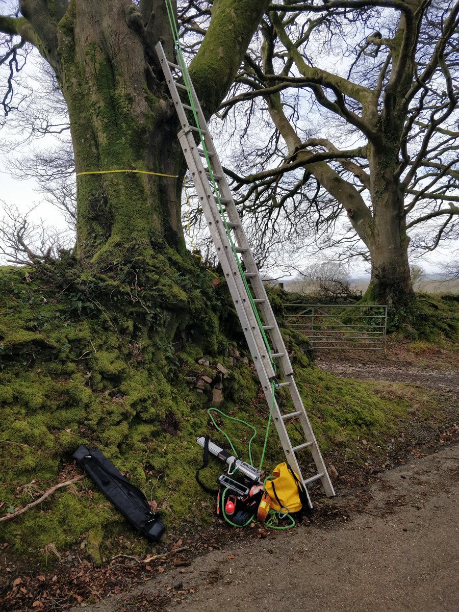 A M Lane Limited tweet media