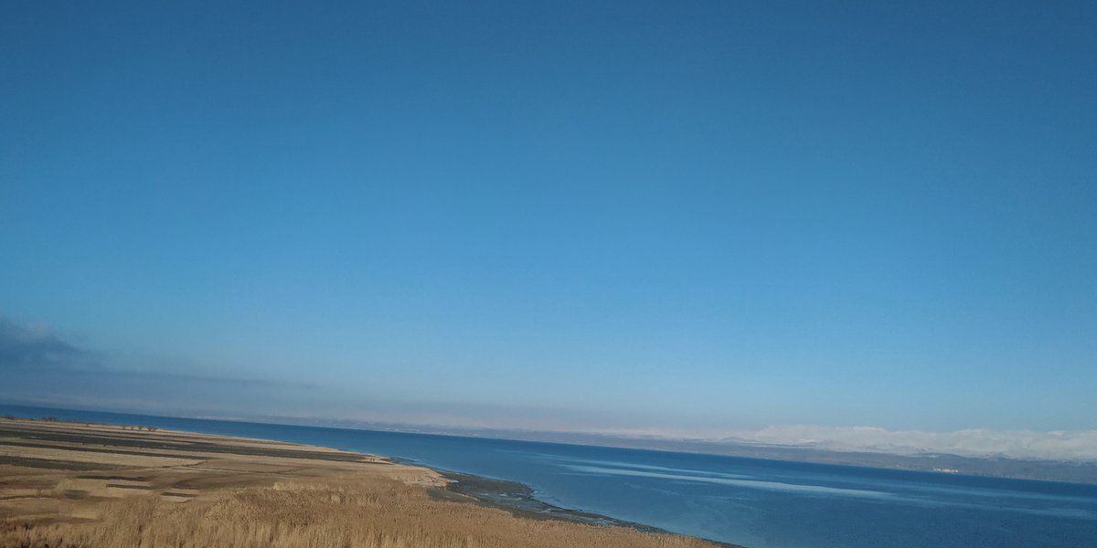 momentCatchers.eth tweet media