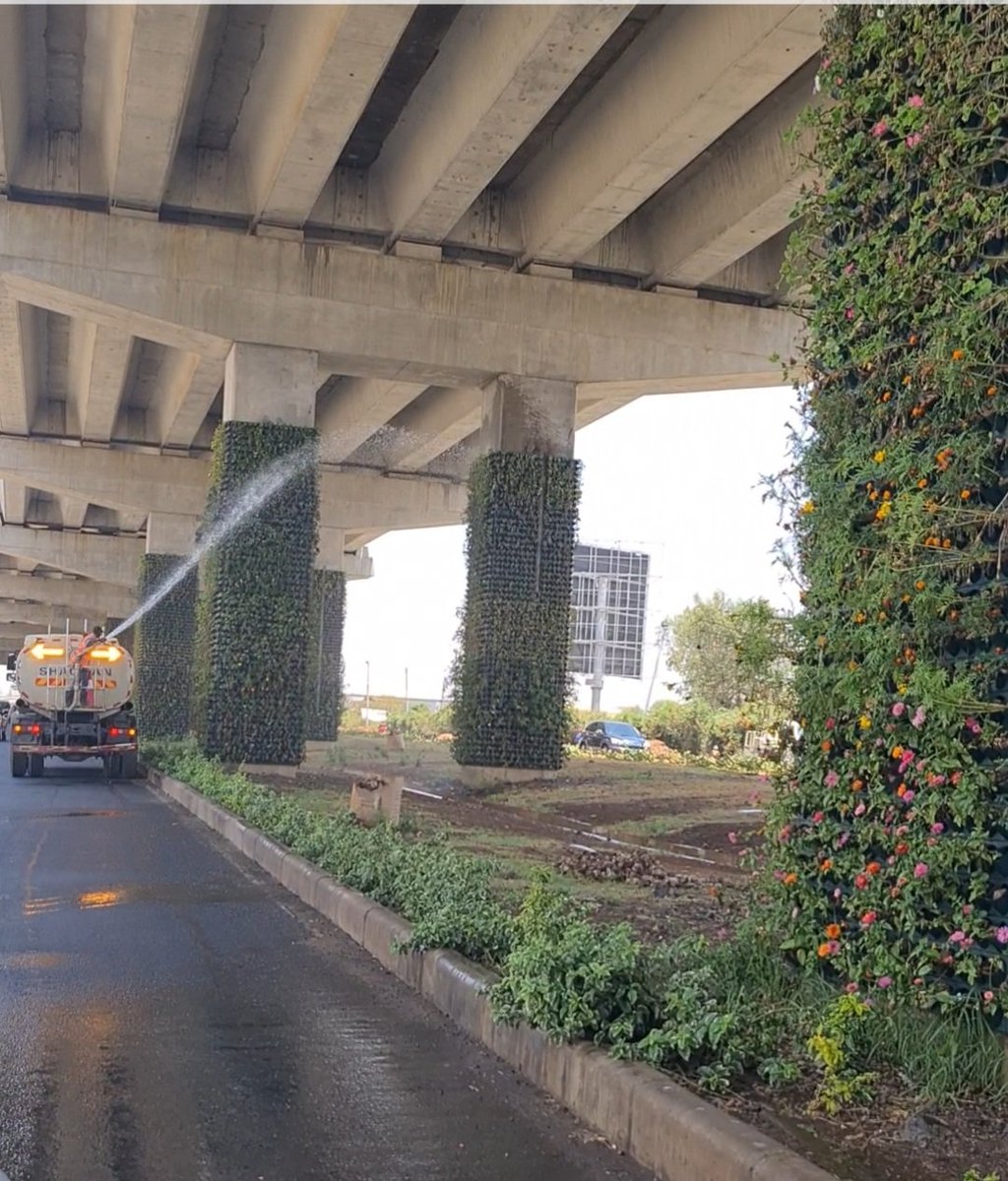 BillowKerrow's tweet image. A Mandera village yesterday. Nairobi Expressway this morning. One nation, two worlds. Millions spend daily to water plants on the expressway; many are losing livelihoods, even lives, due to lack of water. Misplaced priorities.