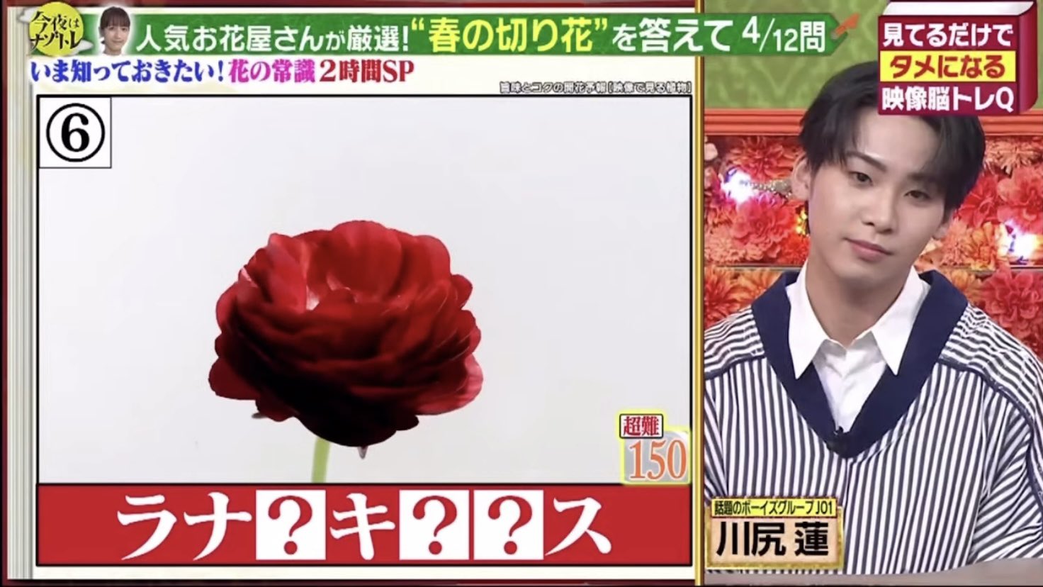 おちゃ 収録日が誕生日だったのも事前に誕生花調べてたのも蓮くんの順番までラナンキュラスが残ってたのも全部奇跡 ナゾトレ 川尻蓮 Jo1 T Co 1wumk1bnwa Twitter