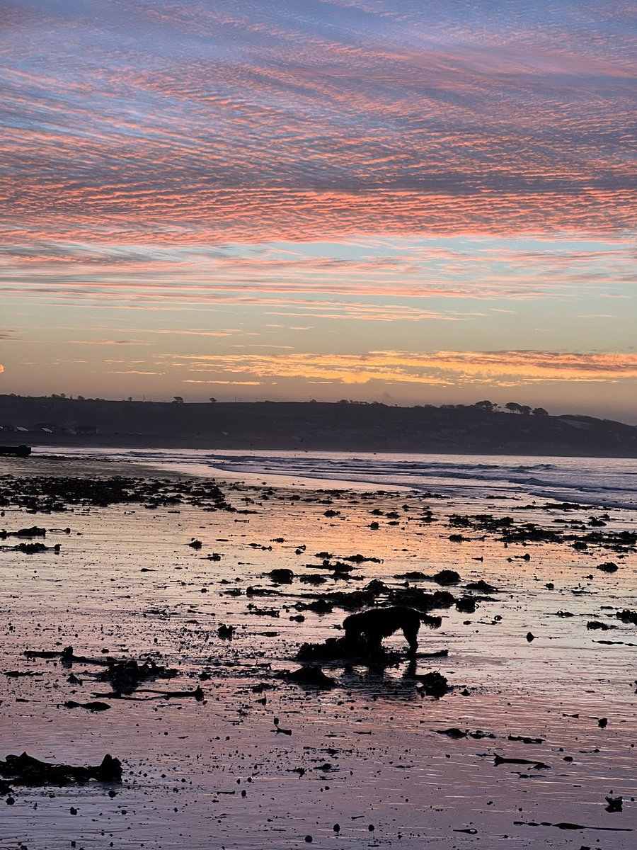 Back in our happy place at 6am…. We have missed it this winter…. Love the lighter mornings and the colours in the sky 🌅🐕‍🦺😍 #springishere #goodmorningcornwall
