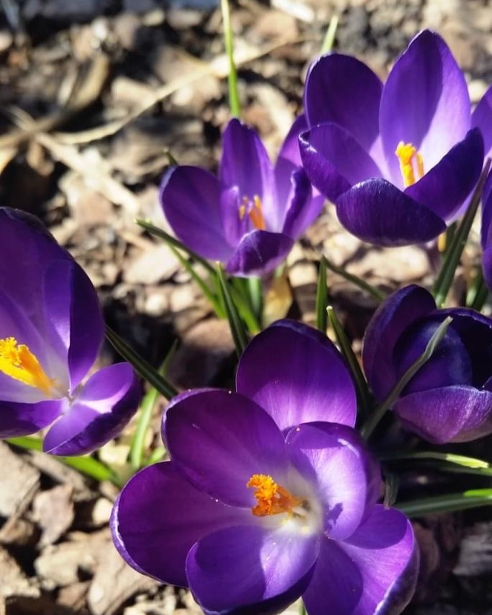 Visit The Osage tweet media