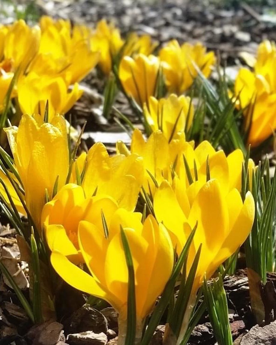 Visit The Osage tweet media