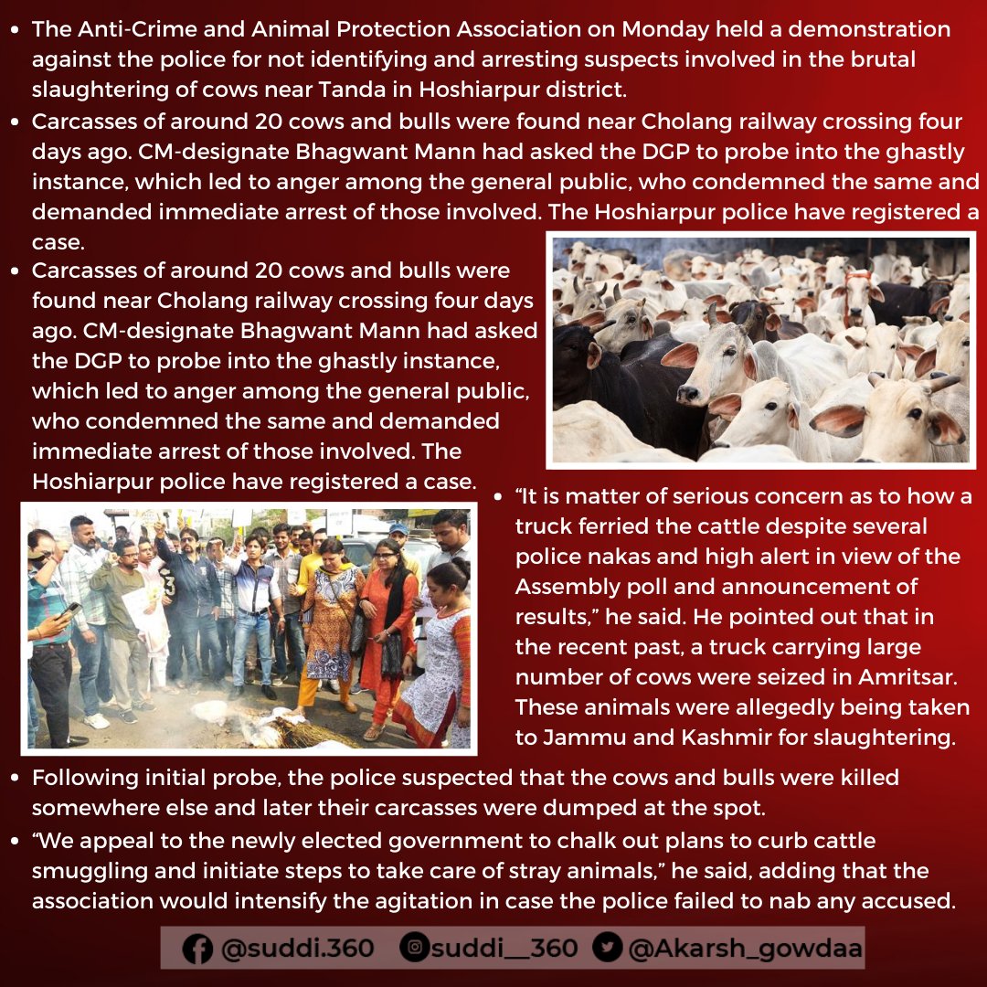 Akarsh_gowdaa's tweet photo. Cow slaughter: Animal lovers protest police inaction
@BhagwantMann 

#Cowslaught #animals #slaughtering #Hoshiapur #BhagwantMann #RohanMehra #DGP https://t.co/6cKwANWOTI