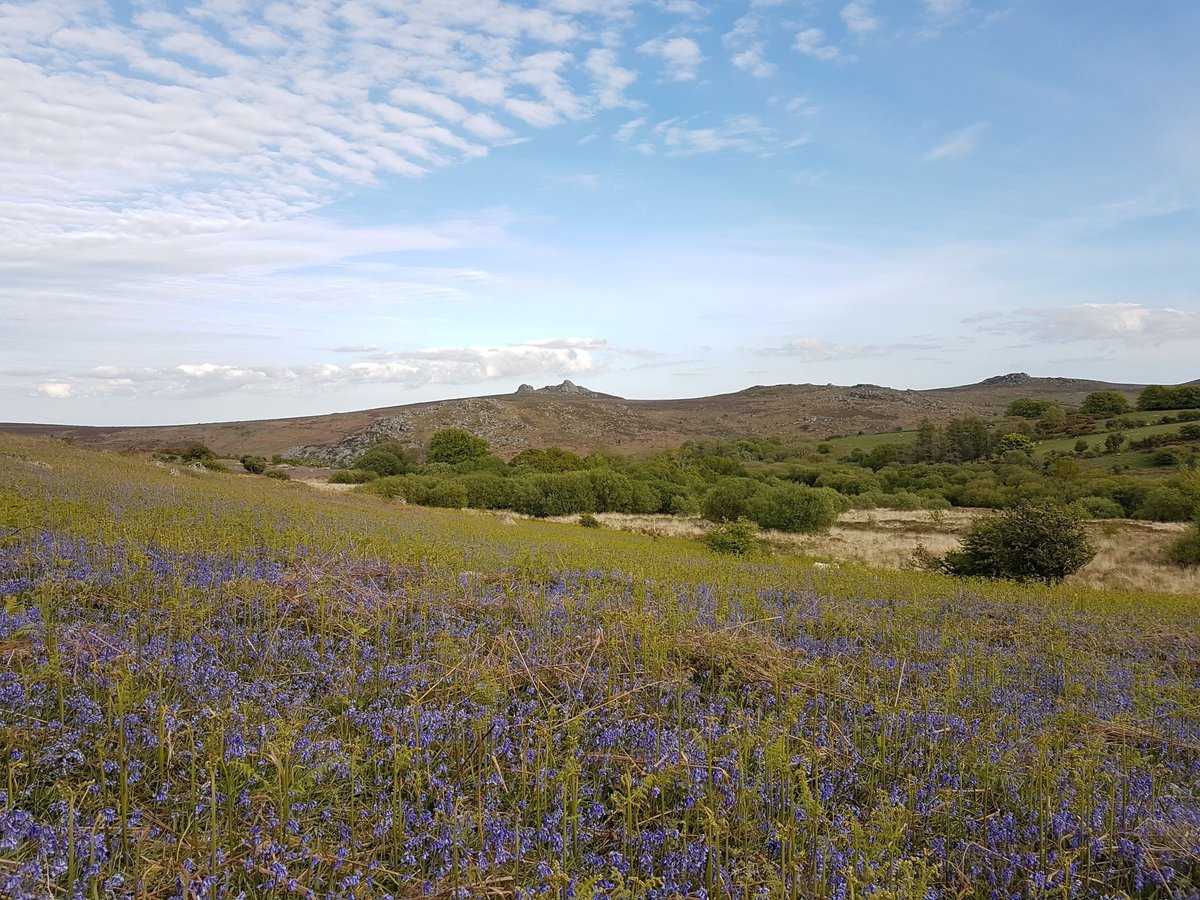 Our LNP webinar has a strong focus on climate
We will learn more about nature's role in tackling the climate crisis and how the changing climate is impacting Devon's environments.
Tues 29th March, 9:30-11:30am

Book a free ticket👇
soc.devon.cc/climate_webina…