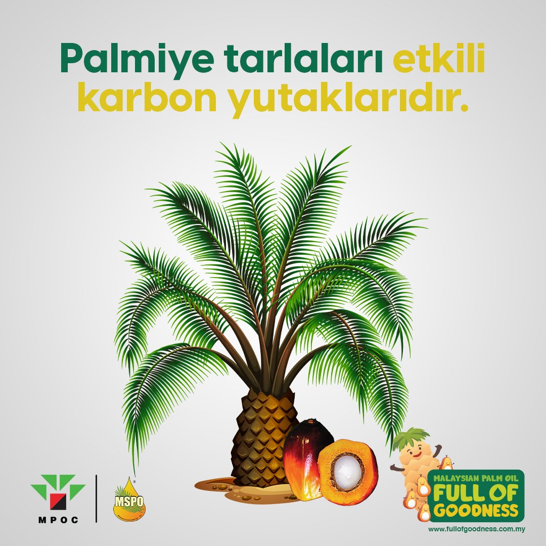 MPOC TÜRKİYE tweet media