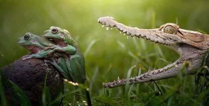 يأتيك المو*ت أحيانا و انت في قمة السعاده😁