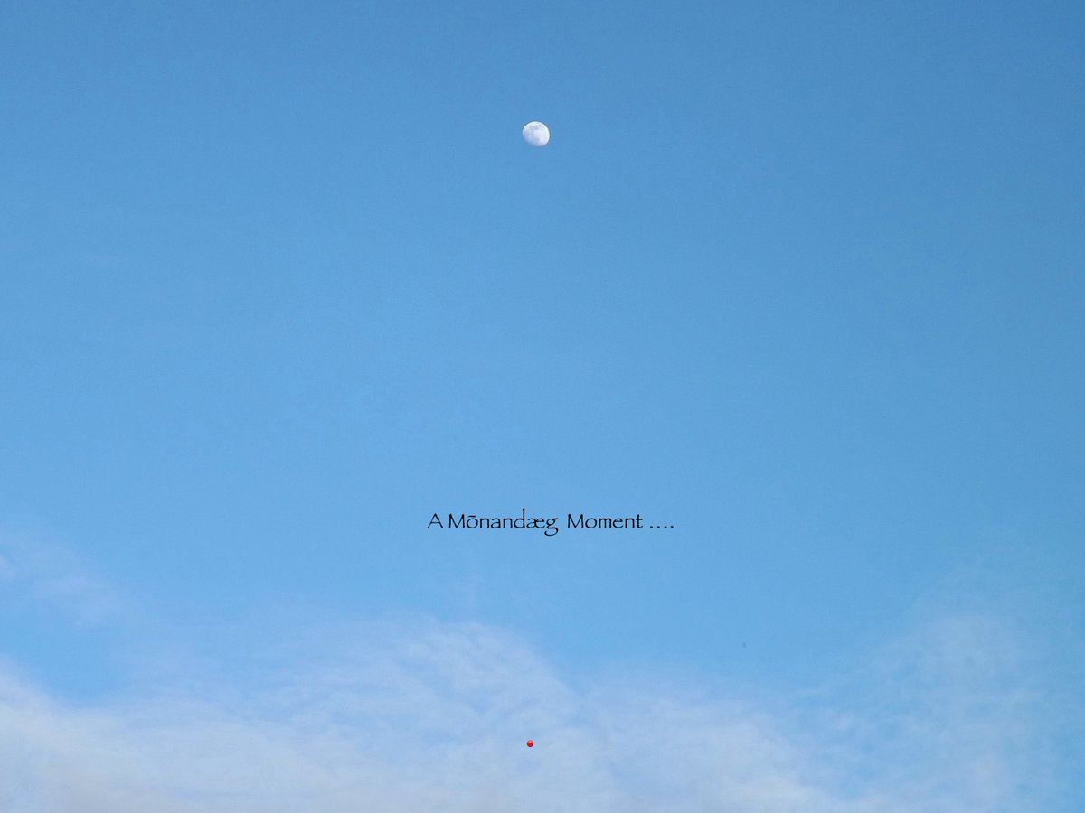 UnbesetztSynth's tweet photo. A Mōnandæg moment .. #Týr #Wóhnung #WaxingGibbous {91.1%} #NurDu #VictoriaPark #MuteZeroTwoZero @haysfizz @TinSoldiere @drunkenpoet92 ::🌓! https://t.co/fixz6OHns7