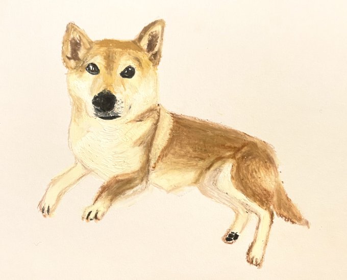 柴犬 高画質 のtwitterイラスト検索結果 古い順 柴犬 高画質 のtwitterイラスト検索結果 古い順