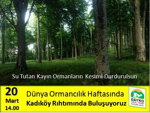 dayko_vakfi's tweet photo. https://t.co/WMaAfCD6dy