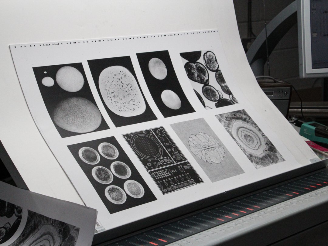 tabayer's tweet photo. #SUMMAjournal by #tabayer, realizing in print

“Vol. I: Singularity and a Totality” features new work by #ChloeAridjis, @shumonbasar, #FedericoCampagna, @fifidunks, @daisylafarge, and #TabitaRezaire, with a visual essay by #batiasuter.​​​​​​​​

#SUMMAjournal l https://t.co/oKwog9pAD2