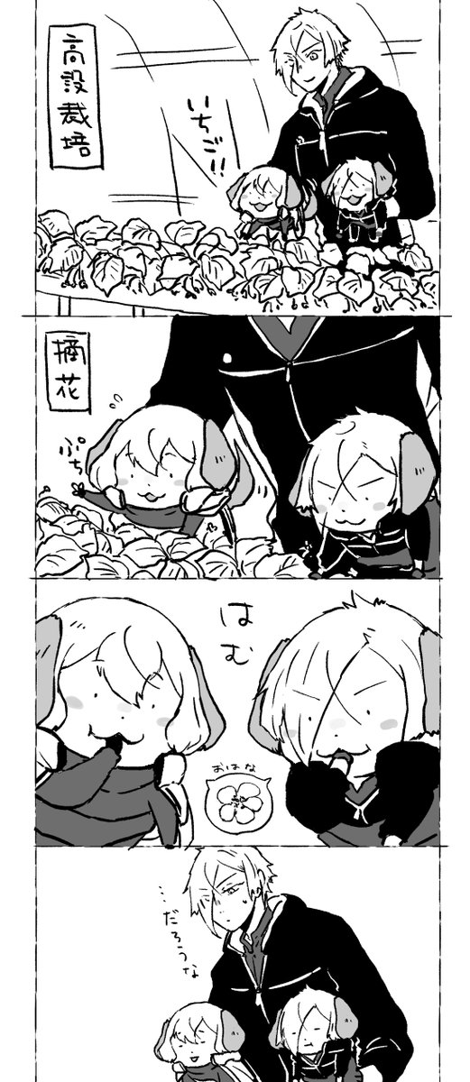 いちご再放送 