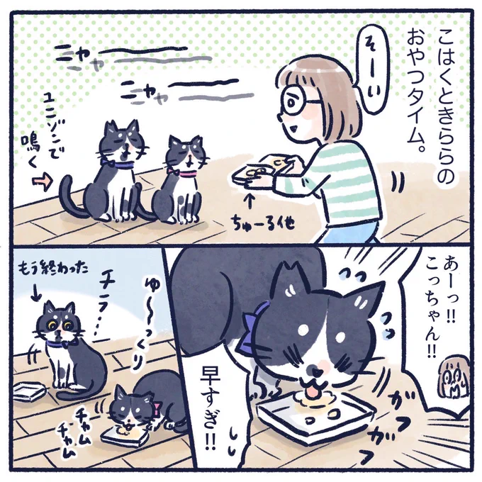 通せんぼう!!!

#コミックエッセイ #育児漫画
#猫漫画 #くもやの猫まんが #ライブドアブログ 