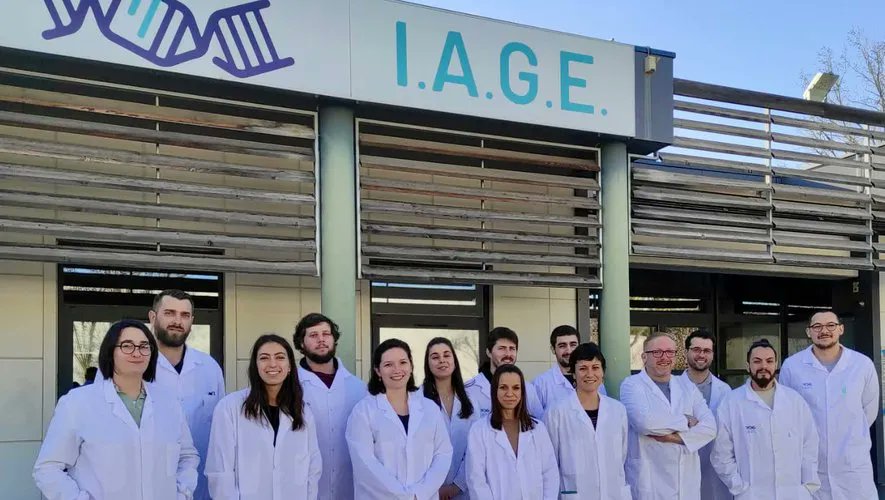 IAGE_France's tweet photo. #IAGE cherche des solutions pour tous ces exploitants qui chaque année déplorent des pertes en l'absence d'alertes précoces.
"Sète : les maladies de l'huître creuse détectées plus efficacement grâce à un test innovant"
#AlertePrecoce #IAGE #SMBT #Oyster
https://t.co/2jIJncG3xw https://t.co/5wsJQVRugI