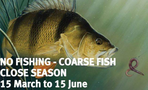 CLOSE FISHING SEASON!
Just a reminder to all on the Basingstoke Canal - we are now in the CLOSE SEASON for fishing as the canal is a Site of Special Scientific Interest (SSSI).
The close season lasts until June 15th!