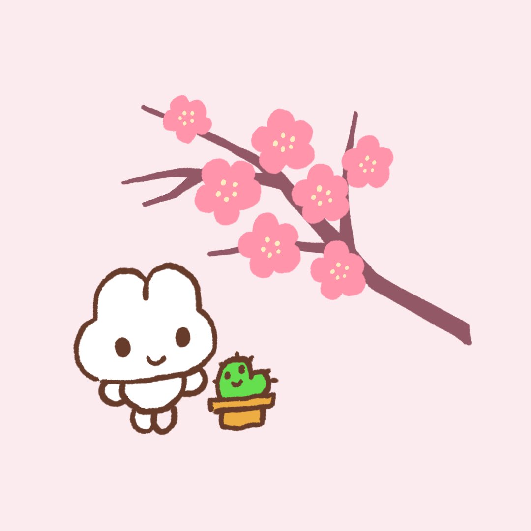 no humans simple background rabbit cherry blossoms flower flower pot plant  illustration images
