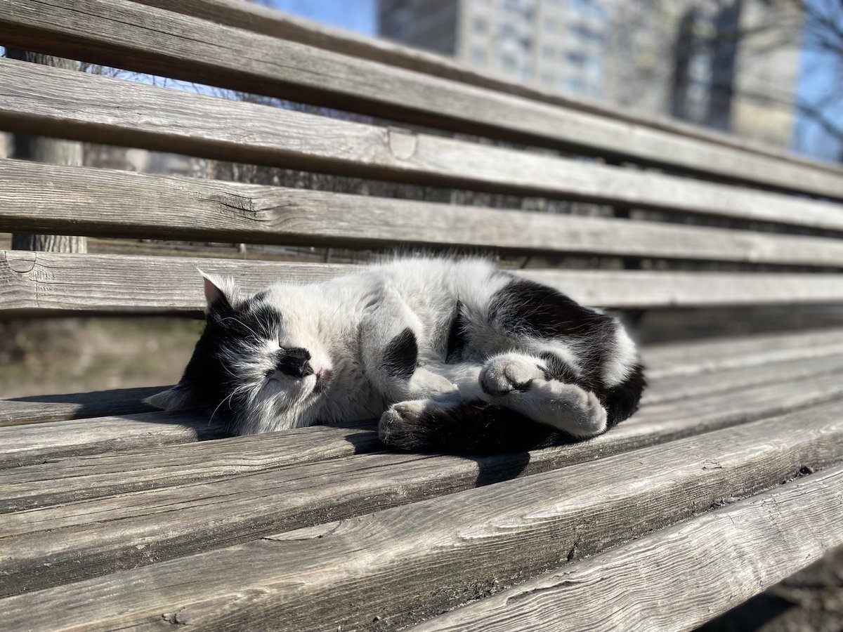 “I don’t care about your war”