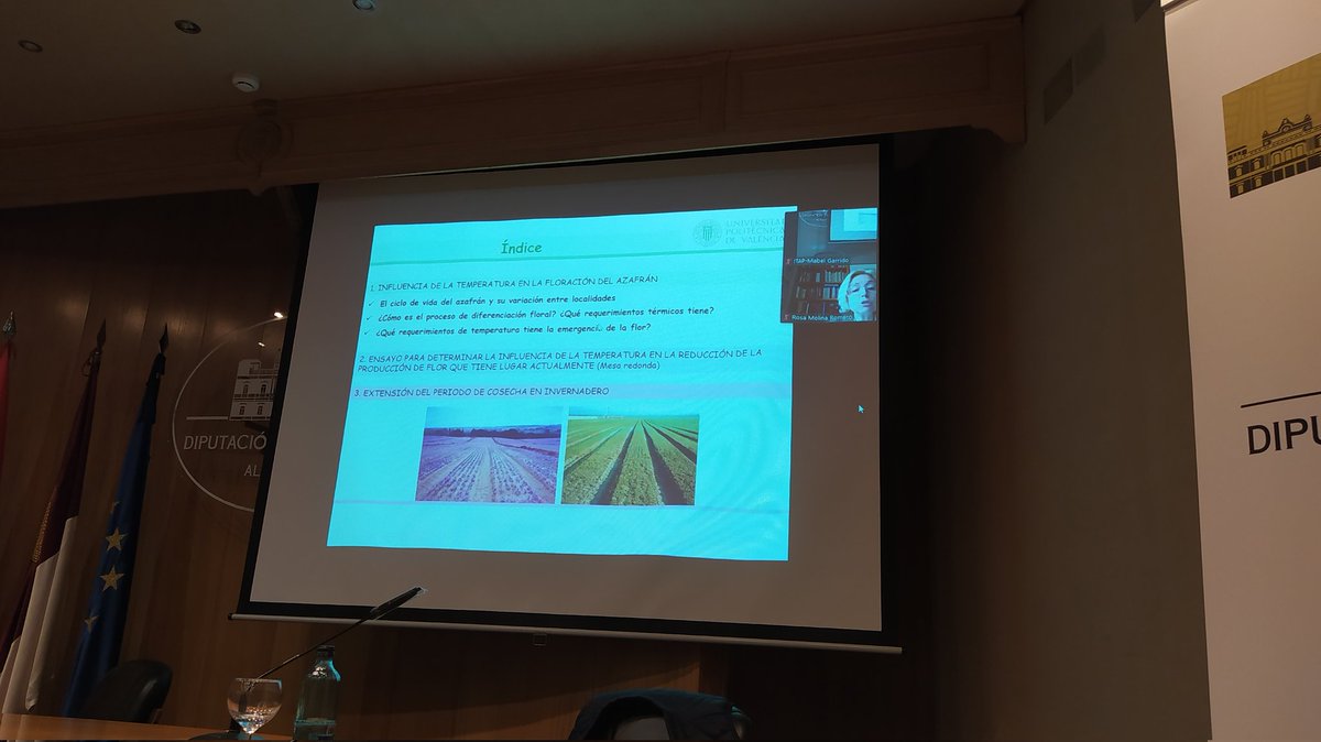 DOPAzafran's tweet photo. ¿Se puede cultivar azafrán en invernadero? ¿Y extender el periodo de cosecha? Rosa Victoria Molina @UPV nos está dando las claves 👉https://t.co/bOHmRDTDgi
@itapdipualba @AgriculturaClm https://t.co/qCeN9NMqhG