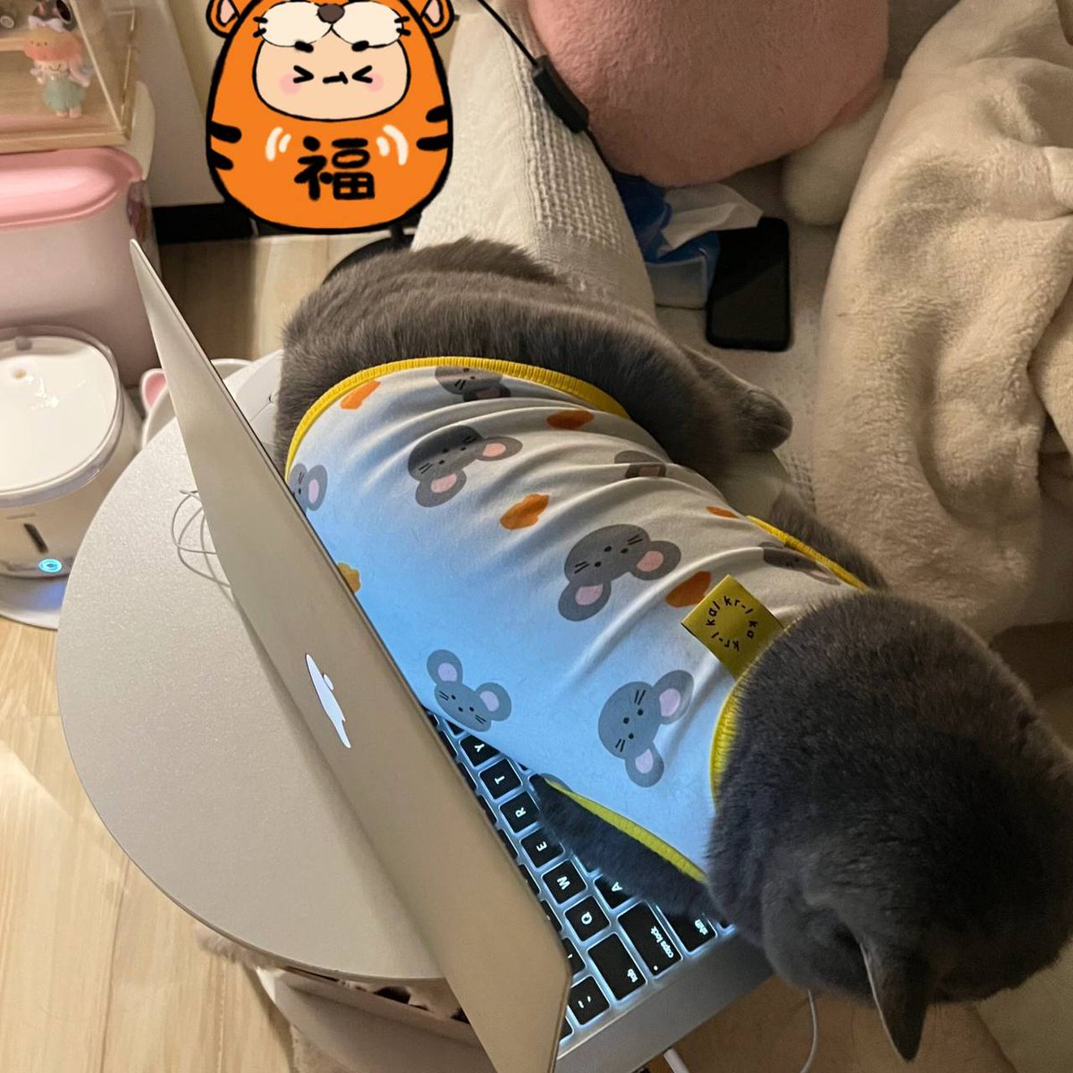 Winnersxixi's tweet photo. Usually a troublemaker, feeding is a good baby😐 https://t.co/MuRvBCmFR7